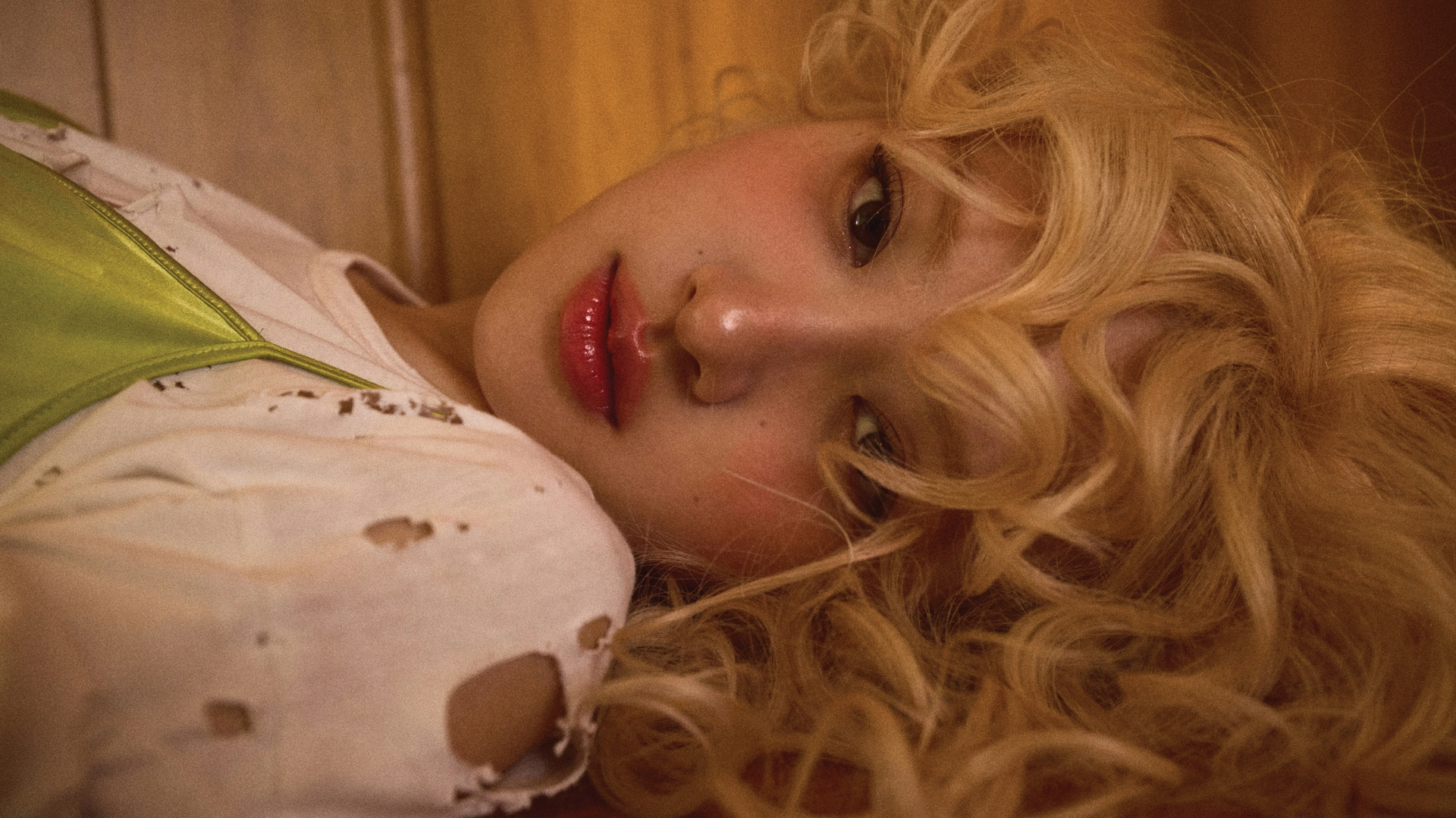 Image of Rosé laying down staring at camera